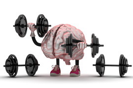 Beyni ve Hafızayı Besleyen Gıdalar