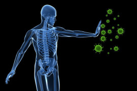 Bağışıklık Sistemi Nasıl Güçlenir?