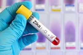 Zika Virüsü Nedir?