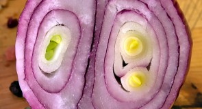 Daha sık soğan yemenin vücutta yarattığı 7 muhteşem değişim