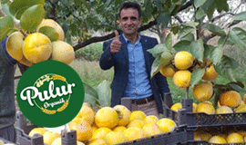 Pulur Organik – Mehmet Ferit Yarar